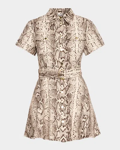 Cara Cara Walter Snakeskin-printed Cotton Canvas Mini Dress In Gray