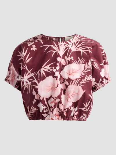 Cara Cara Women's Bari Printed Poplin Top In Burgundy