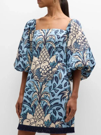 Cara Cara Montauk Dress Blue Fruit Basket Xxs In Multi