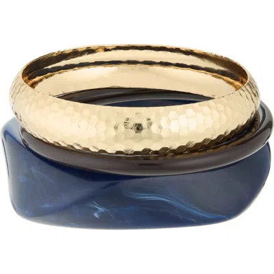 Cara Set Of 3 Assorted Bangle Bracelets In Blue Multi