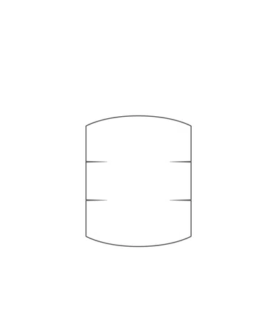 Caraa 25 Pleated Mask Filters In Black