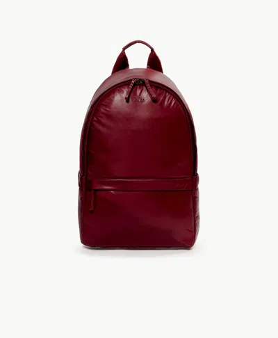 Caraa Stratus Medium