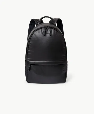 Caraa Stratus Medium