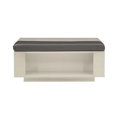 Caracole Modern Expressions Lift Top Floor Shelf Coffee Table With Storage