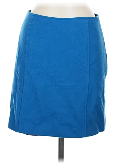 Caractere Wool Skirt In Blue