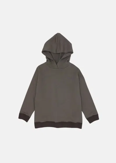 Caramel Kids' Boys Nori Hoodie In Cedar In Gray