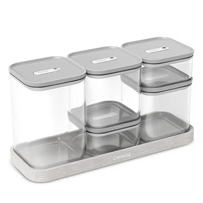 Caraway 5 Container Storage Set In Gray