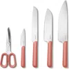 Caraway 5-piece Knife Set In Perracotta