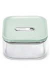 Caraway Small 0.9-quart Airtight Storage Container In Green