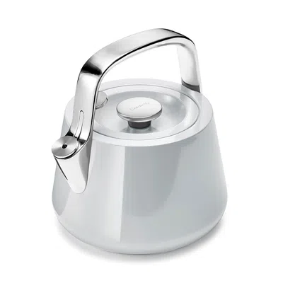 CARAWAY STAINLESS STEEL TEA KETTLE