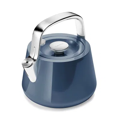 CARAWAY STAINLESS STEEL TEA KETTLE