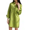 Care Tucker Basic Preslie Poplin Shirt Mini Dress In Cactus In Green