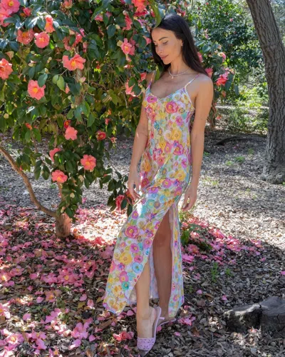 Care Tucker Lennon Zipslip Dress In Flower Garden In Multi