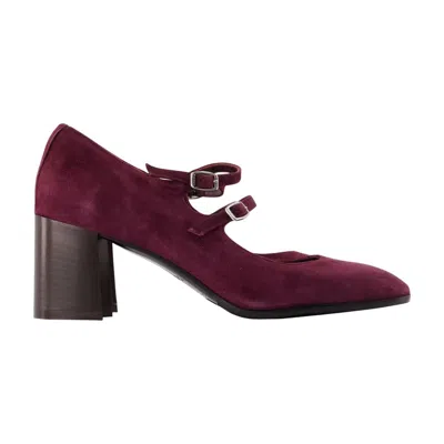 Carel Alice Flex Pump In Multi