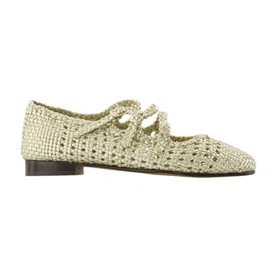 Carel Ariana S Flat In Multi