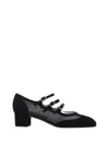 Carel Kinight Pump