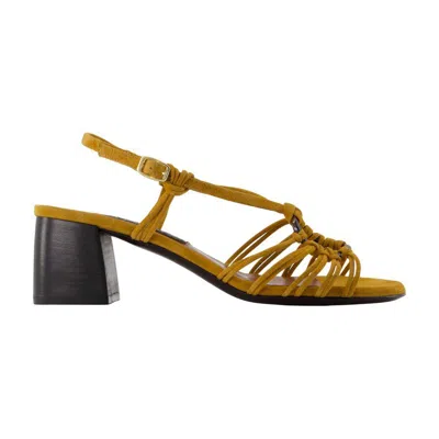 Carel Paris Copacabana Pumps In Brown