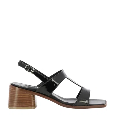 Carel Paris Thick-heeled Sandals In Black