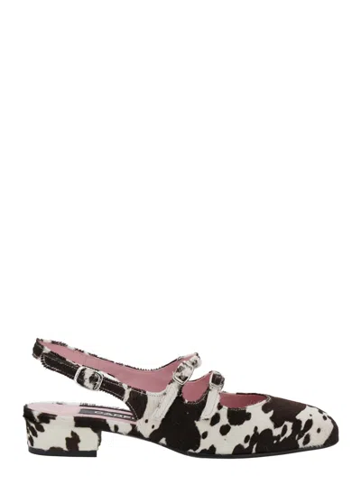 Carel Peche25