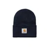 Carhartt Acrylic Watch Hat In Brown