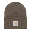 Carhartt Acrylic Watch Hat In Brown