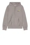 Carhartt American Script Sweatshirt Hoodie In Heather Grey
