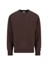 Carhartt Chase Sweatshirt In Brown