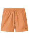 Carhartt Chase Swim Trunks In Brown