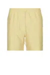 Carhartt Chase Swim Trunks In Air Yellow & Gold