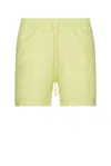Carhartt Green Chase Swim Shorts In Arctic Lime & Gold