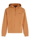 Carhartt American Script Hooded Sweatshirt In Orange