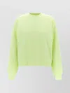 Carhartt Crew Neck Sweatshirt Ribbed Cuffs In Green