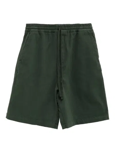 Carhartt Floyd Shorts In Green