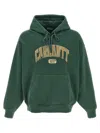 Carhartt Library Hooded Sweatshirt Kangaroo Pockets In Dark Green