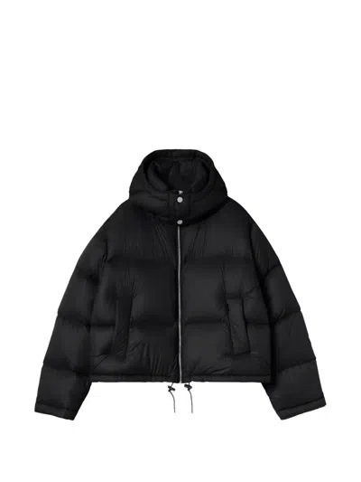 Carhartt Haydon Padded Jacket In Black