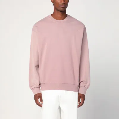 Carhartt Hudson Sweatshirt In Daphne Colour