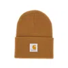 Carhartt Logo Patch Beanie In Brown