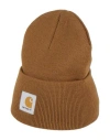 Carhartt Hat In Beige