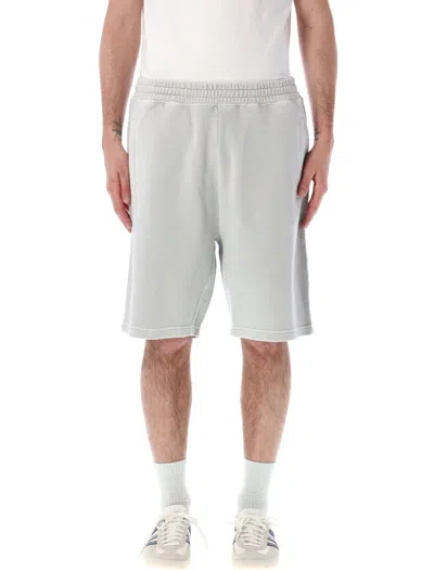 Carhartt Nelson Sweat Shorts In Sonic Silver