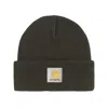 Carhartt Ohio Beanie In Green