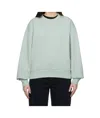 Carhartt Casey Sweatshirt In Green