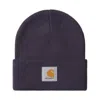 Carhartt Short Watch Hat In Blue