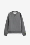 Carhartt Chase Sweatshirt In Grey
