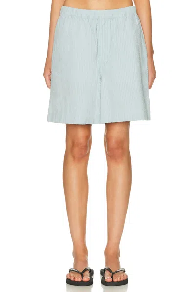 Carhartt Toland Short In Blue