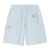 Carhartt Toland Stripe Short In Blue