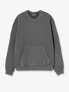 Carhartt Torion Dyeing Treatment Cotton Sweatshirt In Gray