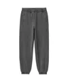 Carhartt Vista Grand Sweatpants In Vista Grand