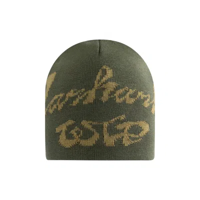 Pre-owned Carhartt Wip Chedda Beanie 'leaf' | Green | Men's Size Onesize
