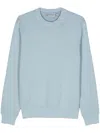 Carhartt Duster Script Sweatshirt