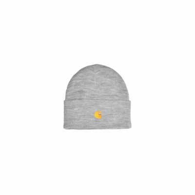 Carhartt Wip Hats In Gray